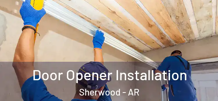  Door Opener Installation Sherwood - AR